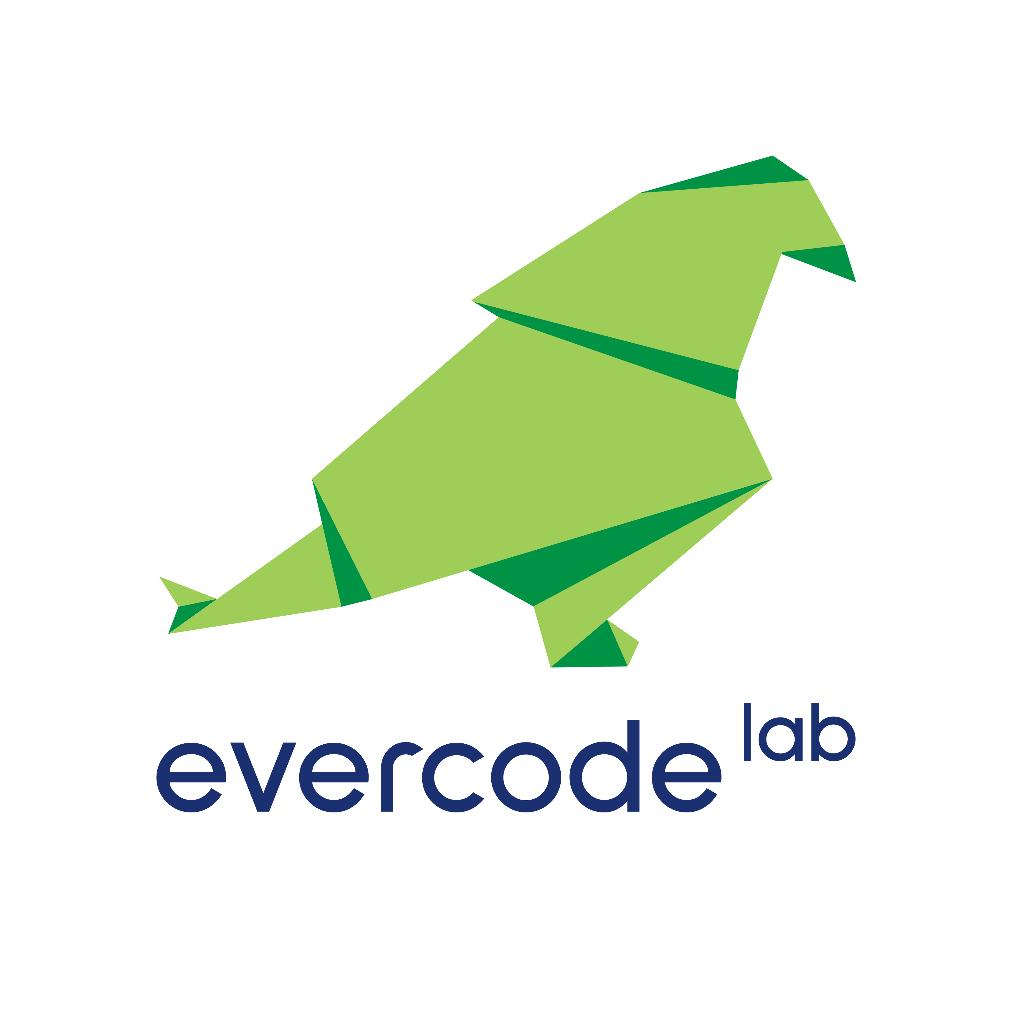 Evercode Lab